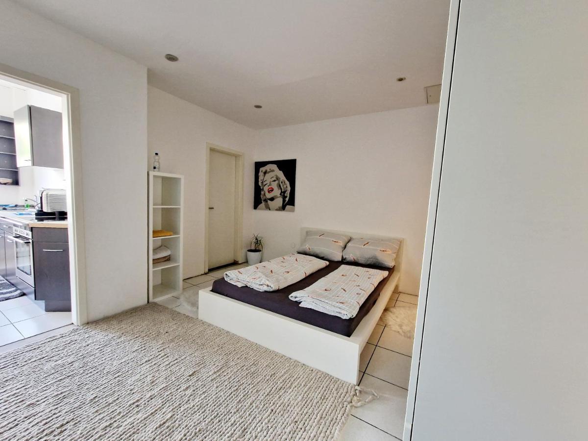 Gruppenfreundliches Apartment 헤르초게나우라흐 외부 사진